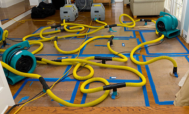 Professional Basement Flood Cleanup technician working in Petersburg, TN